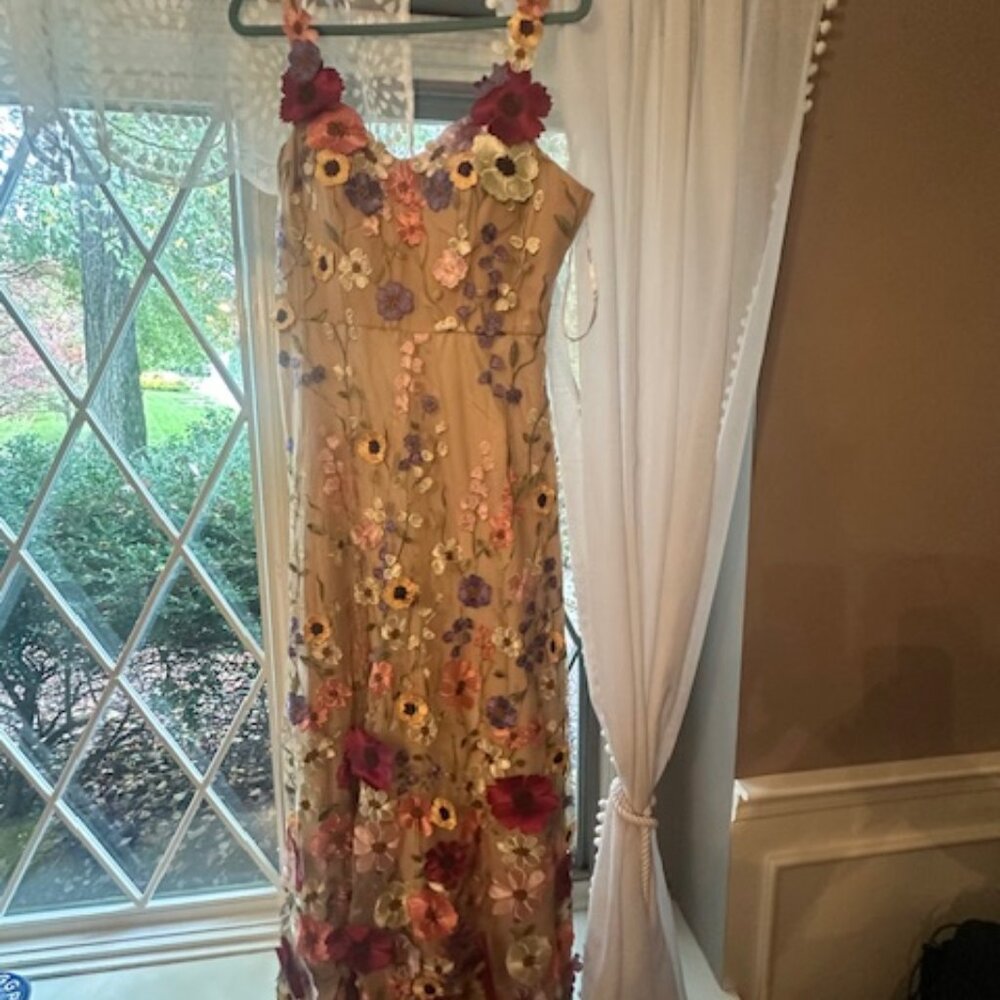 AW Cirrus Dress